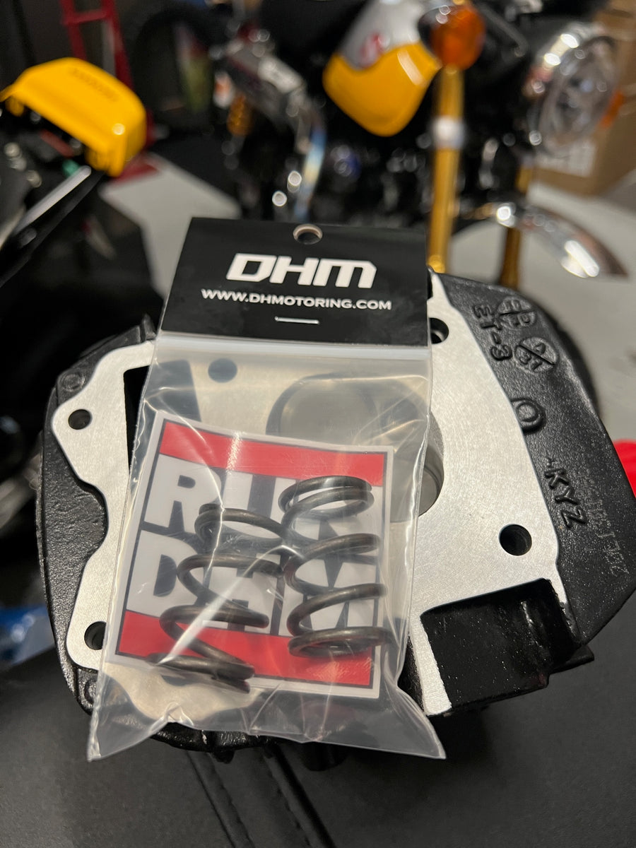 DHM High RPM Valve Spring Set for the Honda Grom DH Motoring