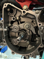 The Speed Shop Black Roller Bearing Tensioner Arm for the Honda Grom / Monkey